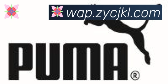 乐竞官方在线登录合作伙伴